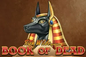Book of Dead Demo Arcade